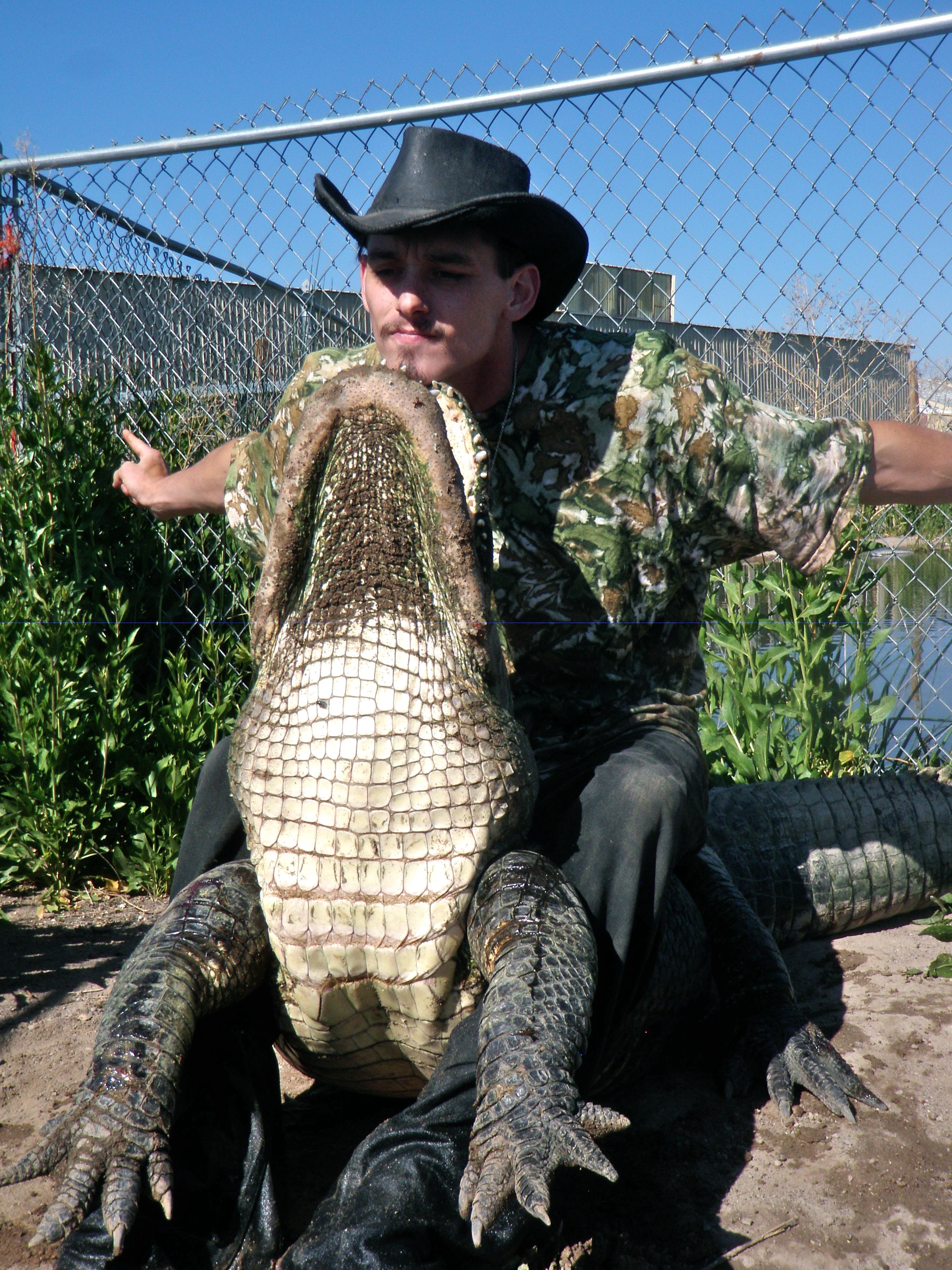 How to Wrangle An Alligator | Travels with the Blonde Coyote