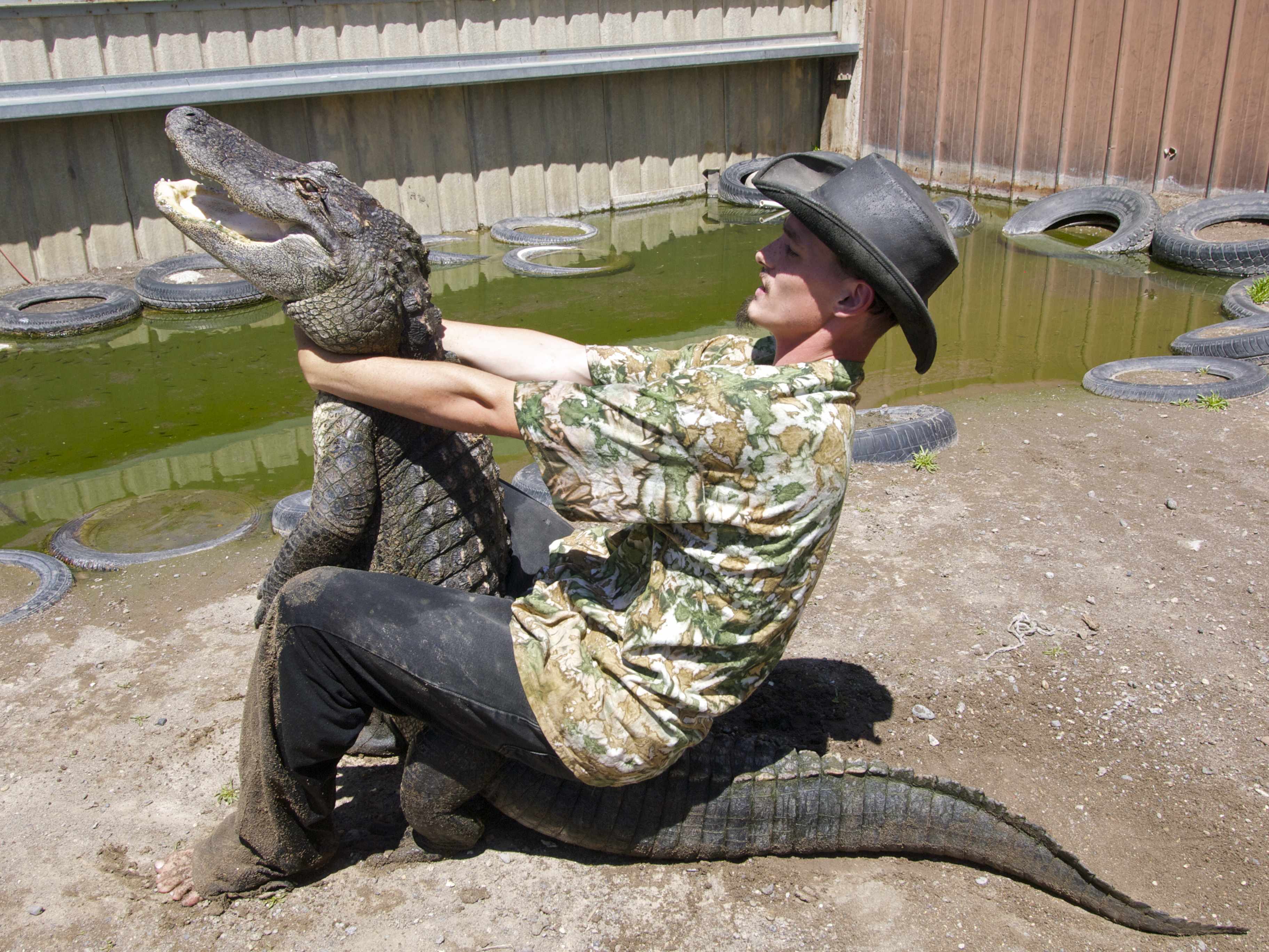 Total 58+ imagen alligator wrangler job