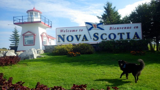 Nova Scotia D.O.G.